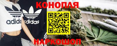 стафф Шебекино